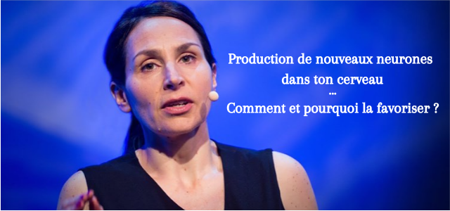 Lire la suite à propos de l’article Production de neurones dans ton cerveau … Comment et pourquoi la favoriser ?